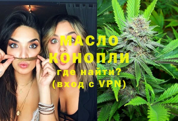 крисы Армянск