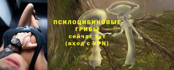 мескалин Арсеньев